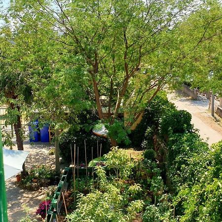 Apartmani Paron Sime 塞利讷 外观 照片